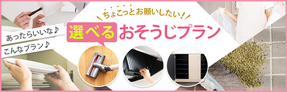 ちょこっとお願いしたい!選べるおそうじプラン